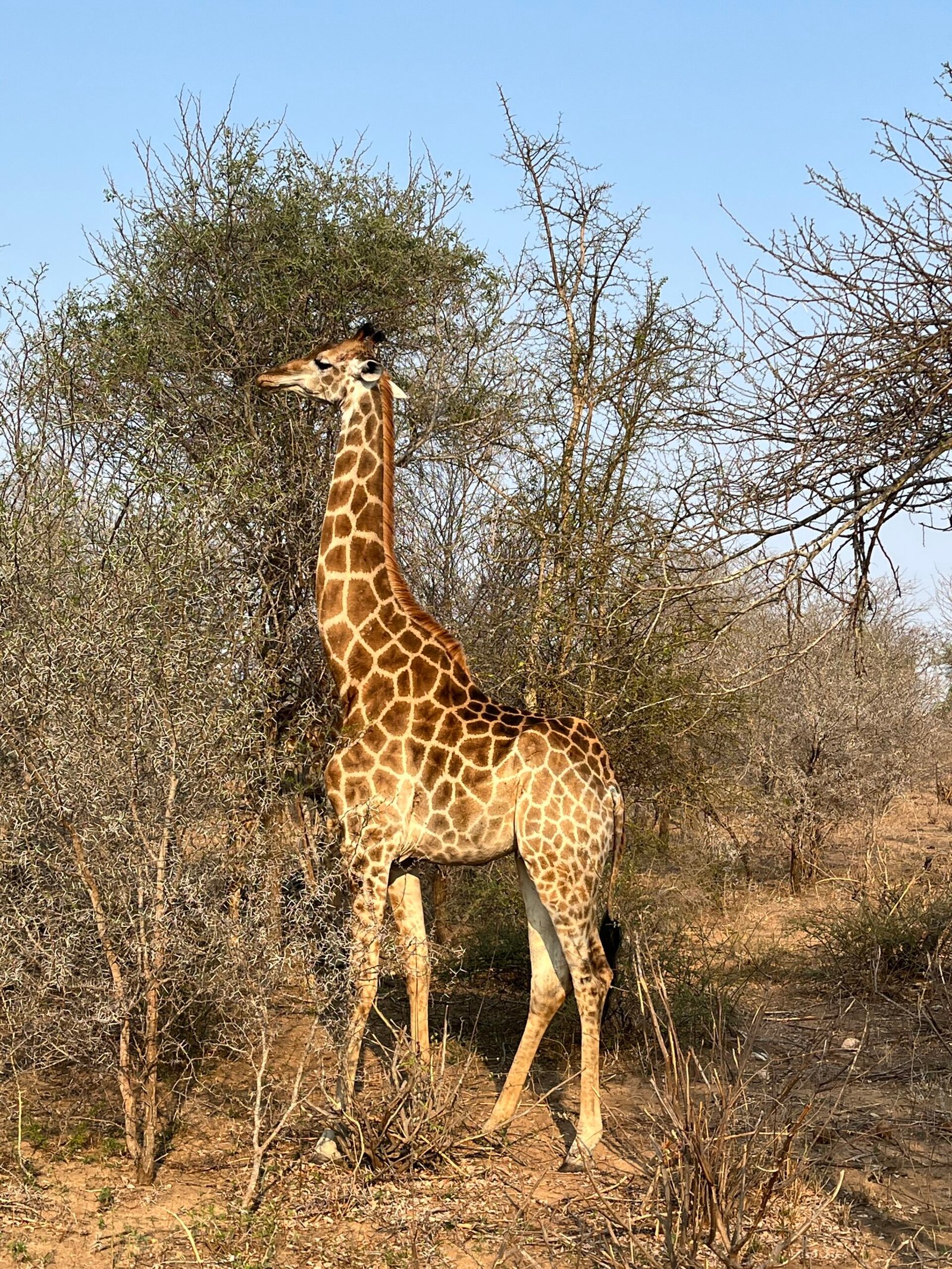 IMG_2330